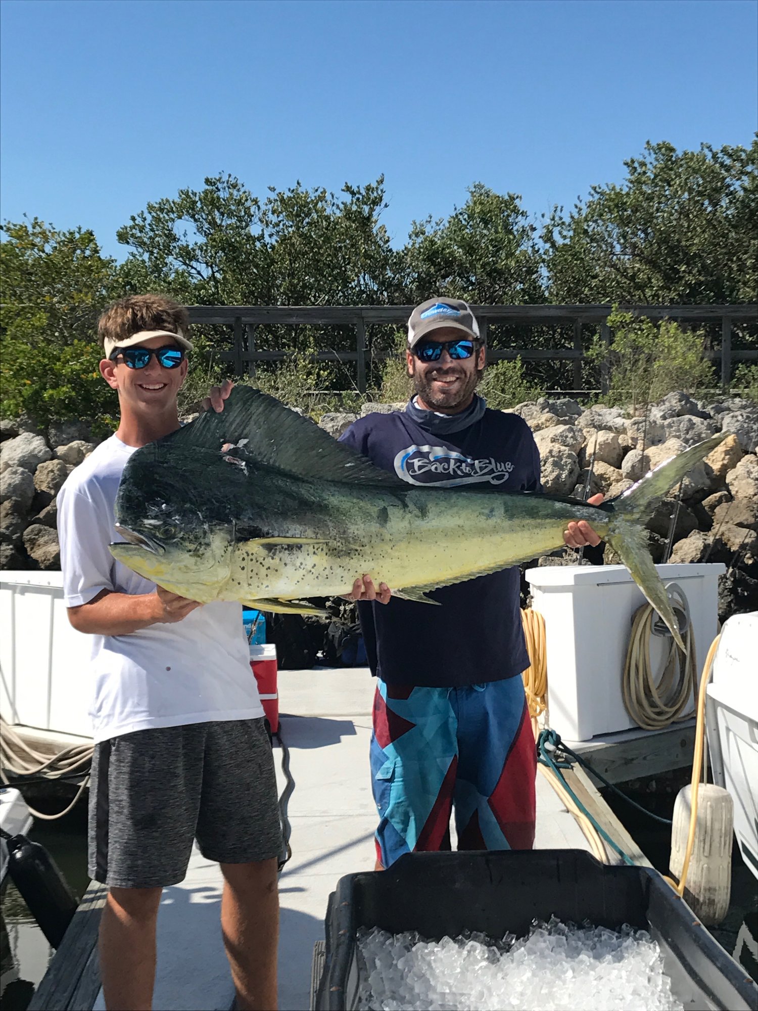 Dolphin Fish Mounts & Replicas by CoasttoCoast Fish Mounts